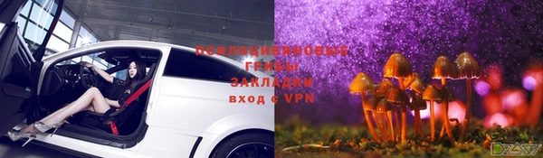 МДМА Богородицк