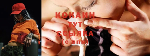 первитин Богданович