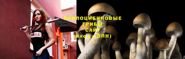 МДМА Богородицк