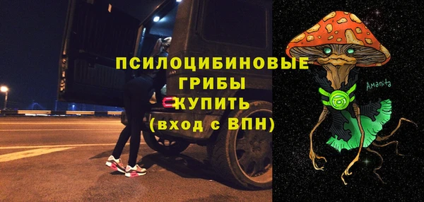 первитин Богданович