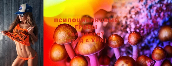 первитин Богданович