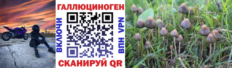 kraken зеркало  Кохма  Псилоцибиновые грибы Magic Shrooms 