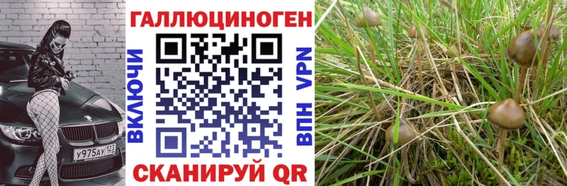 Галлюциногенные грибы мицелий Кохма