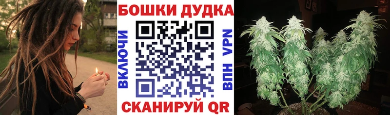 МАРИХУАНА сатива  Кохма 